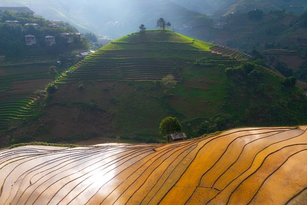 Рисовые террасы Mu Cang Chai